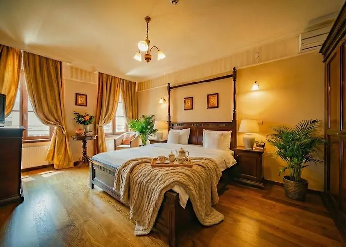 Joy Your Oasis In Timişoara